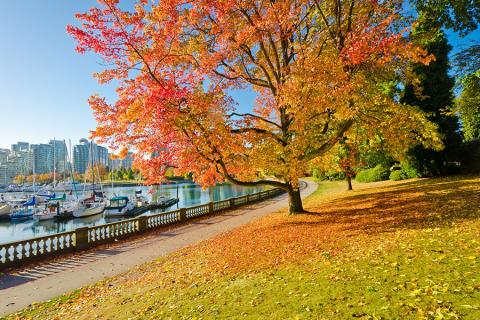 Take a stroll around Vancouver's Stanley Park