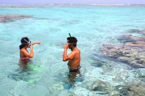 Spend your days snorkelling in the crystal clear waters