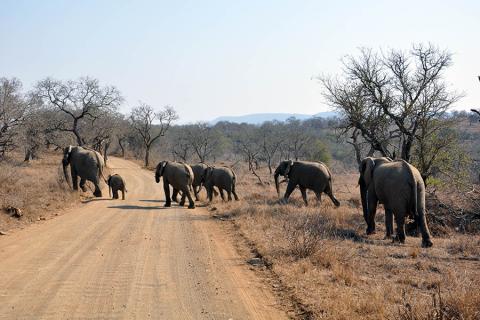 This is one of the younger game reserves in South Africa 
