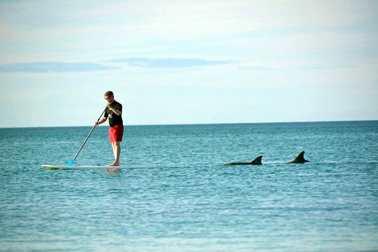 Paddleboarding here was absolutely one of the most magical wildlife experiences of my life