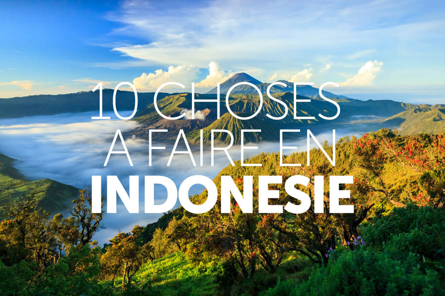 top_10_graphics_indonesia_french
