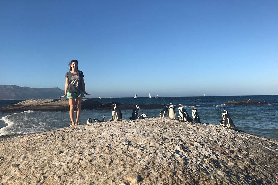 Making friends with the penguins on Boulders Beach, Cape Town | Travel Nation
