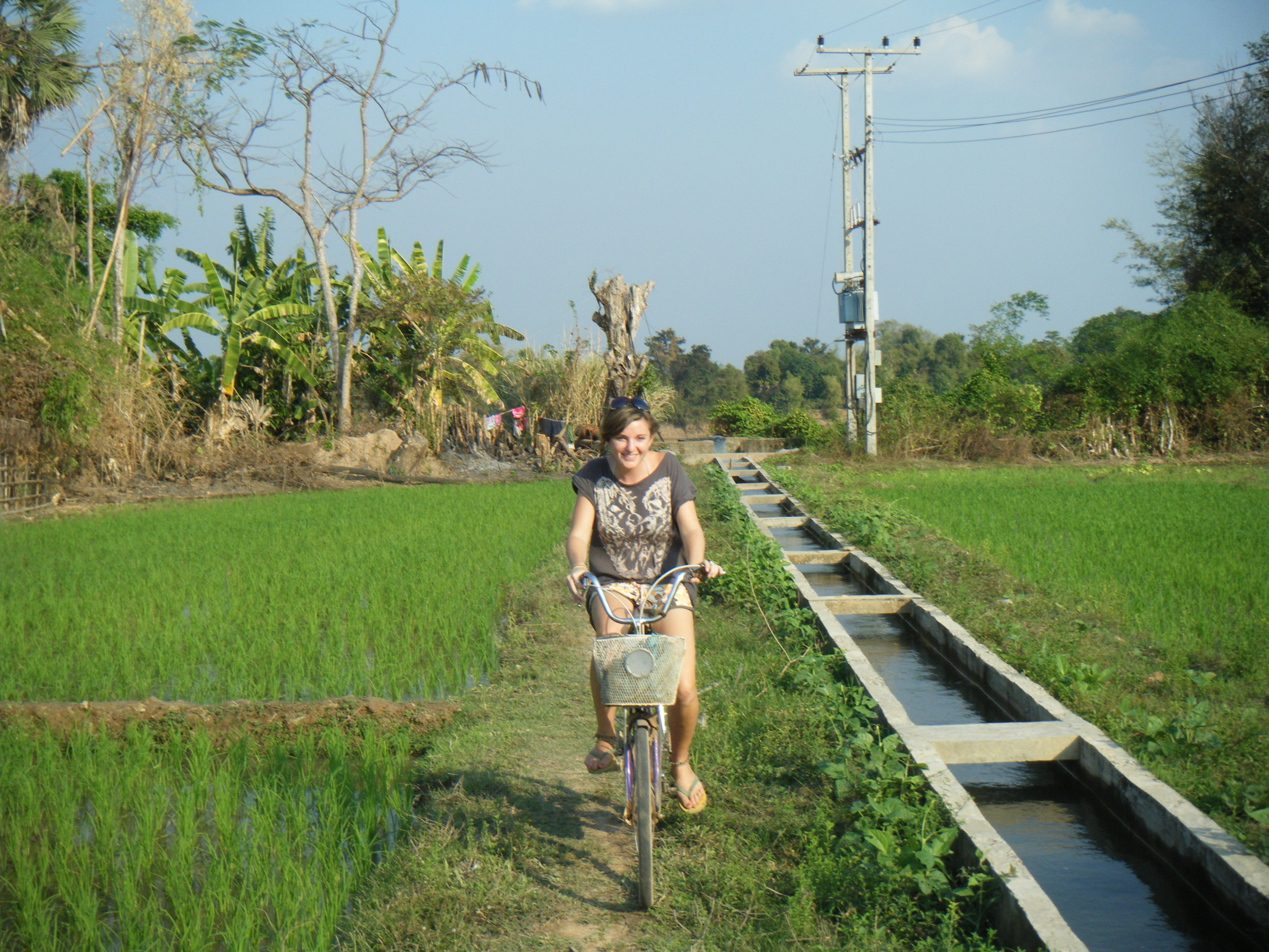 Cycling through a paddy field on Don Det Island, 4000 Islands, Southern Laos