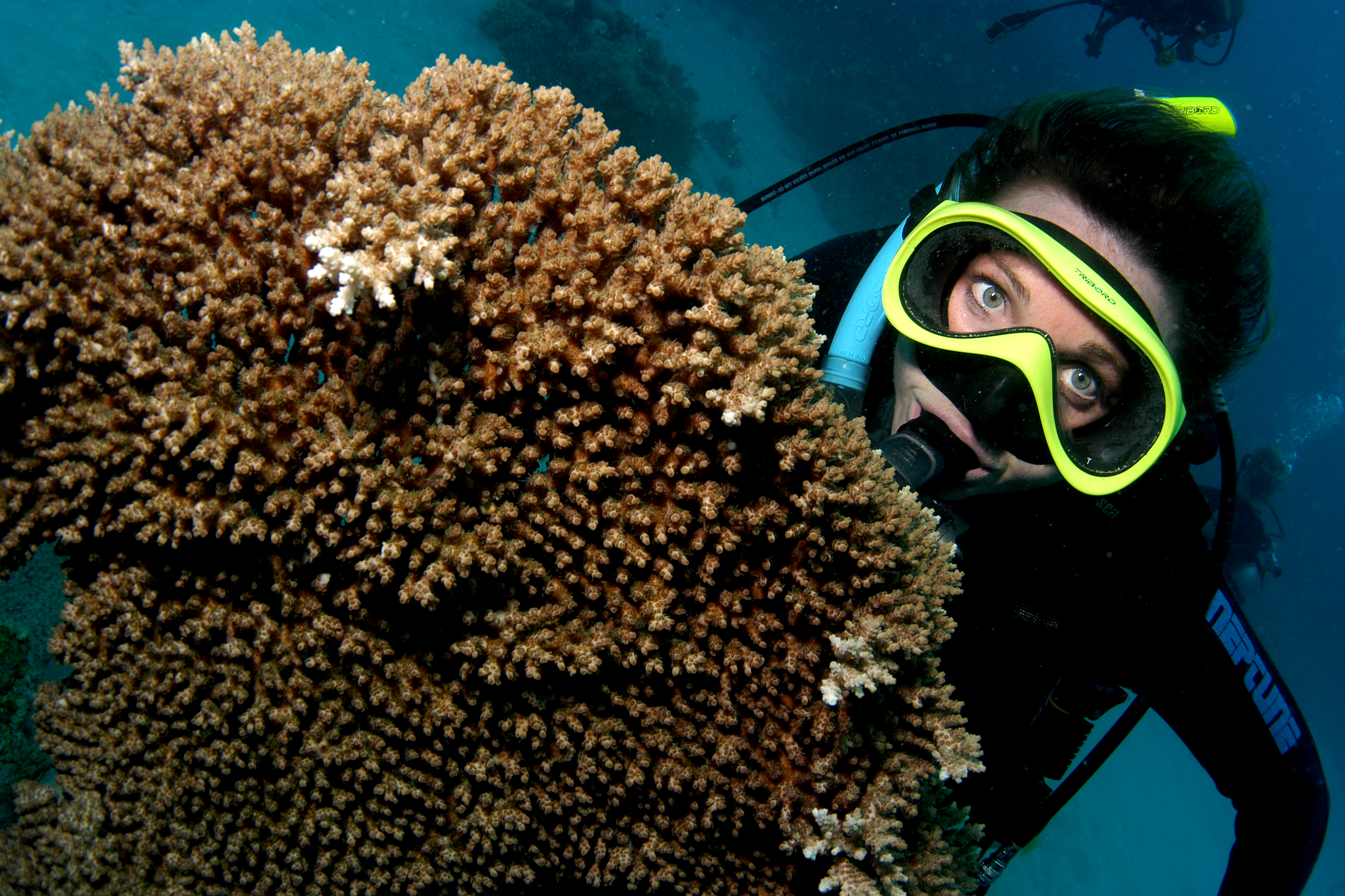 Sara scuba diving in the Philippines