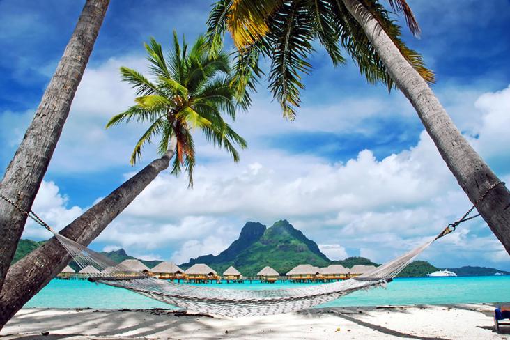 Relax under the swaying palms of French Polynesia
