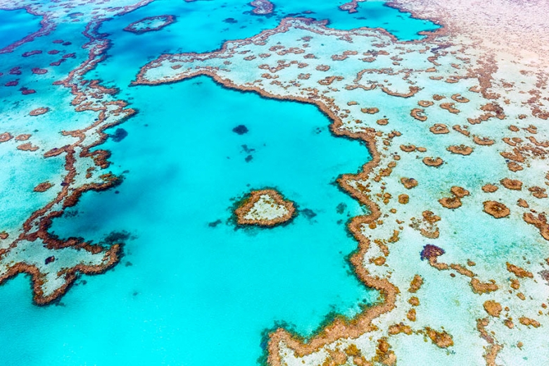 See Heart Reef in the Whitsunday Islands, Australia | Travel Nation