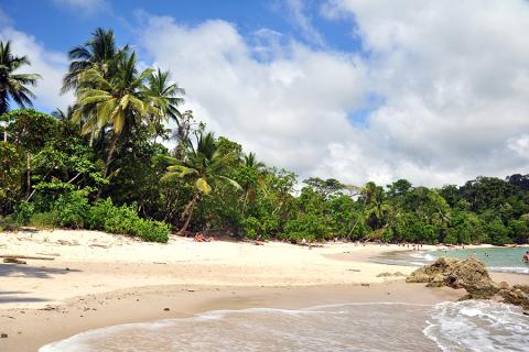 Relax on the beaches of Manuel Antonio National Park