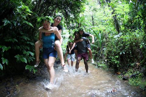 Go jungle trekking on Viti Levu