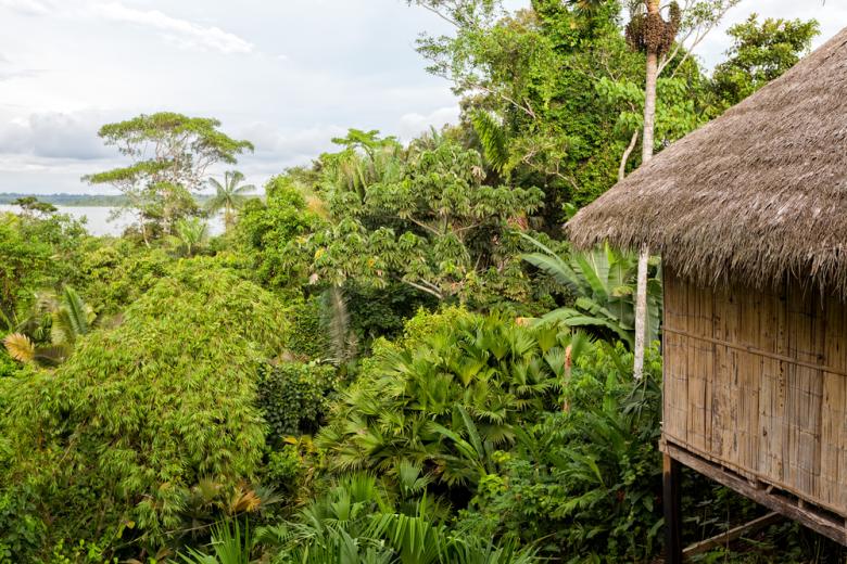 Lodge dans la jungle amazonienne