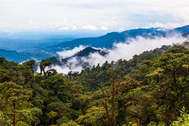 Vue aérienne sur la jungle amazonienne en Equateur
