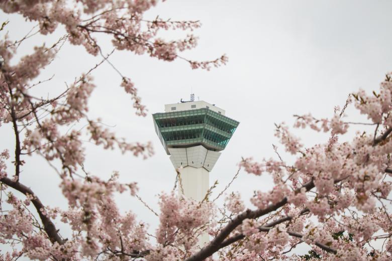 La tour de Goryokaku en pleine floraison des cerisiers
