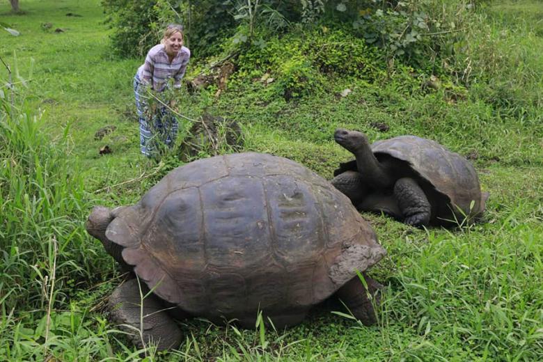 Anna et les tortues géantes de Rancho Primicias aux Galapagos
