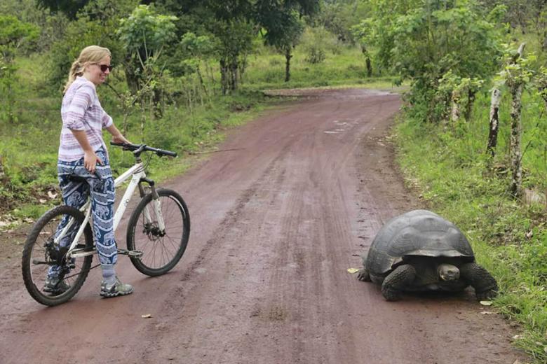 Comment aller aux Galapagos et que faire sur place : Anna et sa copine la tortue !