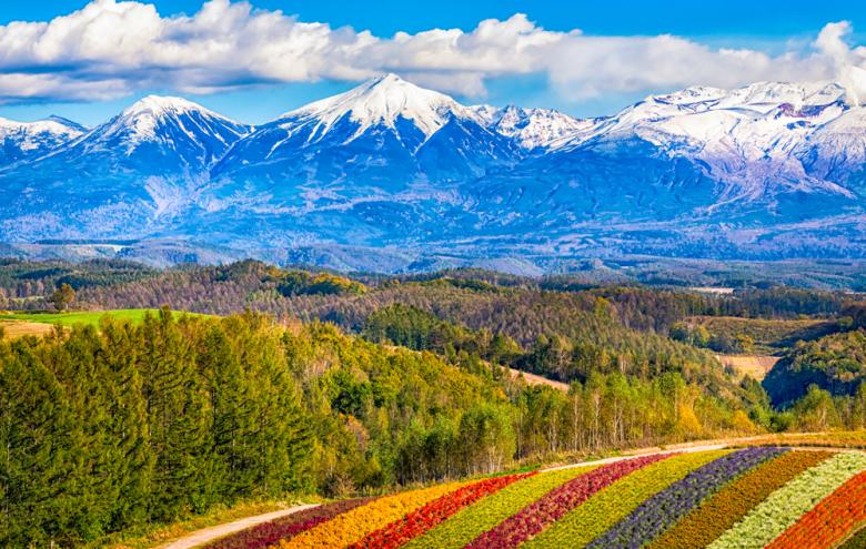 Séjour au Japon : que faire à Hokkaido - monts enneigés pour aller skier