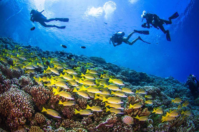 Fakarava is known as one of the best diving destinations in the world