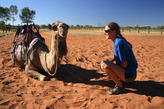 Visit a camel farm and discover life atop one of the regions earliest forms of transport