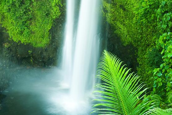 Drag yourself away from the beaches and discover Afu A'au waterfalls