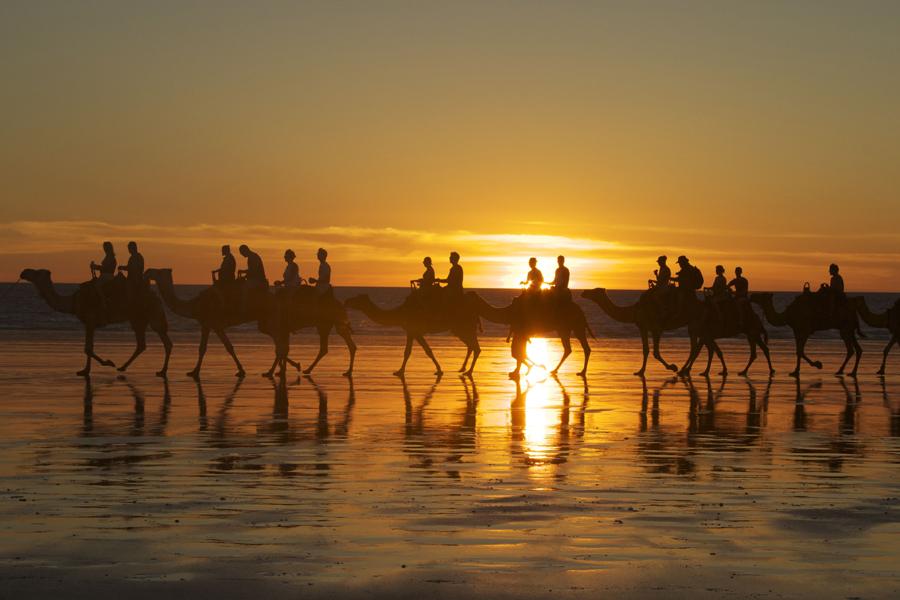 Camel trek, Cable Beach, Broome, Western Australia