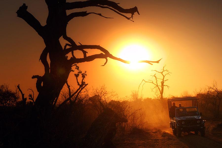 Drive through Chobe National Park at sunset