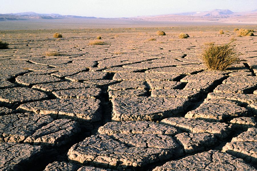 Cracks in the Atacama desert, Chile