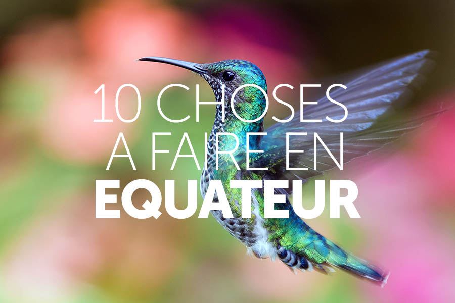 top_10_graphics_ecuador_french